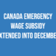 Canada Emergency Wage Subsidy extended into December! - Erythroderma